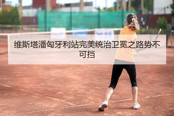 维斯塔潘匈牙利站完美统治卫冕之路势不可挡